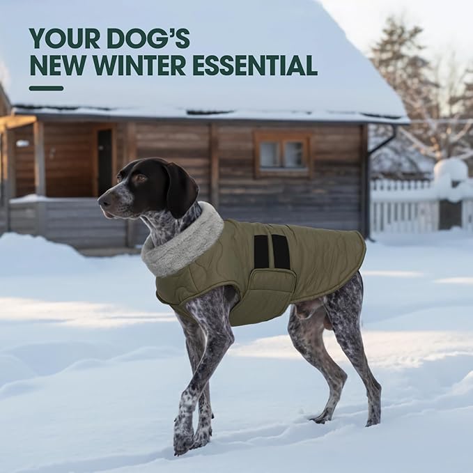 Kuoser Dog Jacket, Winter Dog Coats for Medium Dogs, Cold Weather Coats Pet Clothes, Doggie Snow Jacket for Frech Bulldog, Boston Terrier, Green L