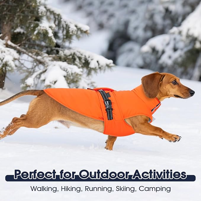 IECOii Warm Dog Jacket - Reflective & Adjustable Winter Vest, Windproof & Waterproof & Warm Fleece Coat for Great Dane, Snow & Rain Walking, Skiing, Orange, Size 5XL