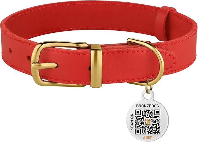 BRONZEDOG Leather Dog Collar with Metal Buckle Durable Basic Pet Collars for Small Medium Large Dogs (19-21 Inch (Pack of 1), Red & Gold Buckle)