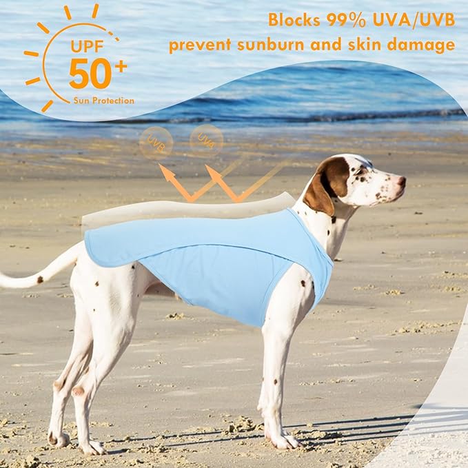 2 Pack Dog T-Shirts for Large Dogs, Quick Dry Cooling Vest, Summer UV Protection UPF50+ Shirt for Dogs Outdoor Hiking, Beach Trip, Travel, Blue+Grey, 2XL