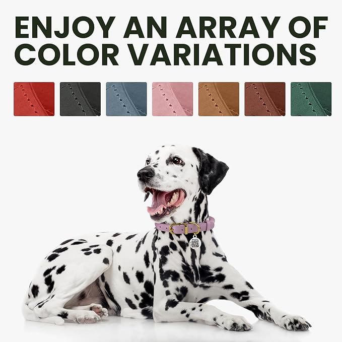 BronzeDog Rolled Leather Dog Collar with QR ID Tag, Adjustable Soft Round Collars for Small Medium Large Dogs Puppy (7" - 10" Neck Size, Emerald Green)