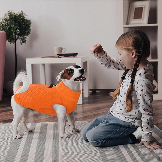 Kuoser Small Dog Jacket | Fleece-Lined Cold Weather Gear for Yorkies Chihuahua | Reflective Edges Guard Mini Breeds on Night Walks, Quick-Dry Fabric, Orange S