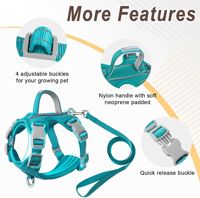 Cat Harness and Leash Set for Walking Escape Proof for Small Large cat Kitten Harness with ID tag Pocket (Blue,XXS)