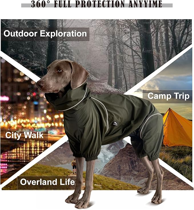 Dog Lightweight Windbreaker, Dog Outdoor 4-Legs Jacket, 0.5 lbs,Durable Water Repellent, Hooded, Easy on/Off with Collar and Harness, Reflective, Packable,Dark Olive (X-Large)