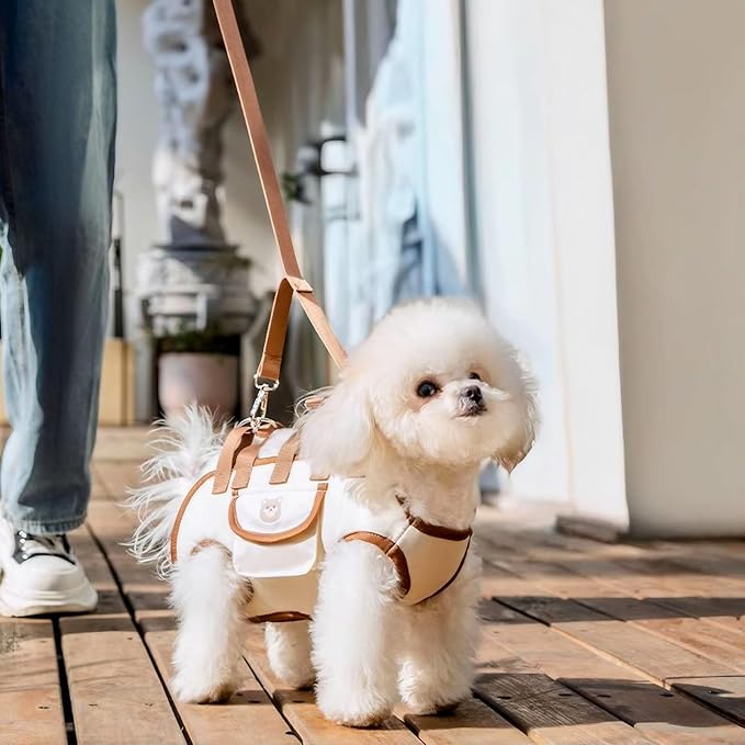 Snuggle Sling Dog Carrier, Adjustable Full Body Lift Harness for Small Dogs and Cats, Portable Breathable Pet Carrier Backpack with Hands-Free Shoulder and Treat Bag(Large)