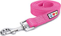 Pawtitas 6 FT Dog Leash - Comfortable Handle, Highly Reflective Threads, Heavy Duty Training Leash (Medium 6 FT)