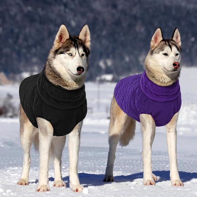 Kuoser Medium Dog Coat | All-Breed Thermal Wear with Windproof Layer | Reflective Tabs Enhance Visibility in Snow, Snap Buckles Simplify Dressing, Purple L