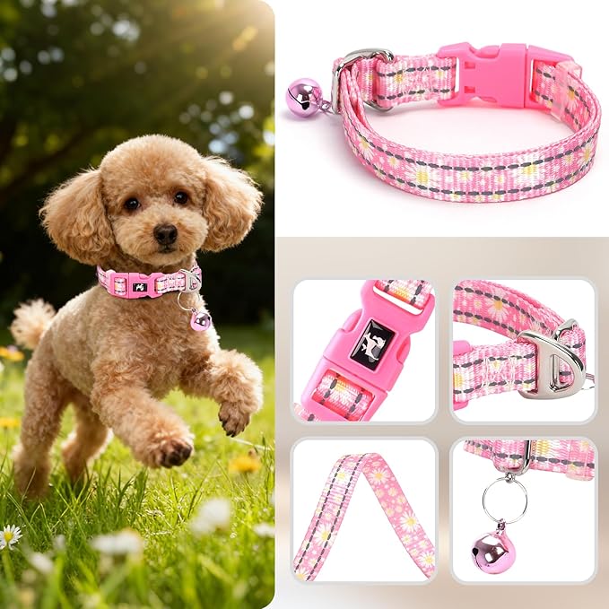 Small Dog Collar with Bell - Reflective Nylon Dog Collar for Small Breeds, Adjustable XXS/XS Tiny Chihuahua Pomeranian Yorkie Collar for Night Walks & Indoor Play（Daisy S）