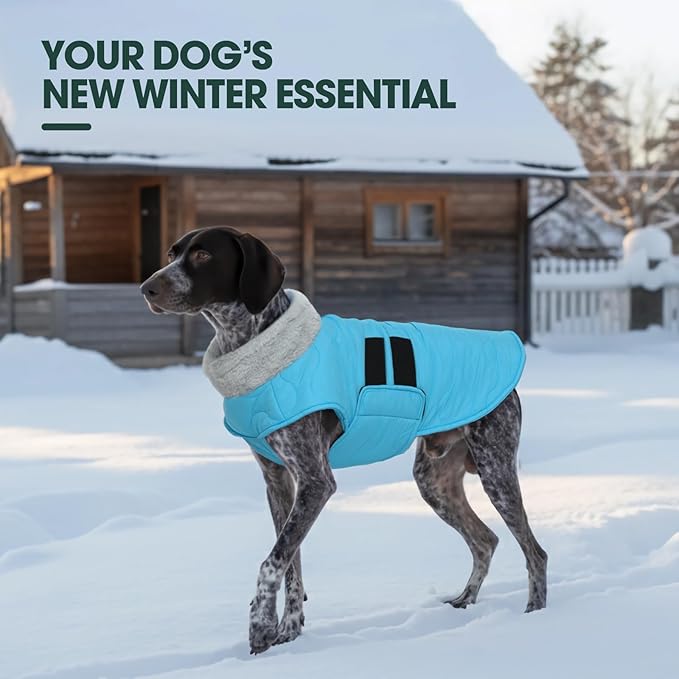 Kuoser Dog Jacket, Warm Dog Coats for Small Dogs, Doggie Winter Jacket Cold Weather Coats with Leash Hole, Winter Coat Apparel for Yorkie Chihuahua, Blue XS