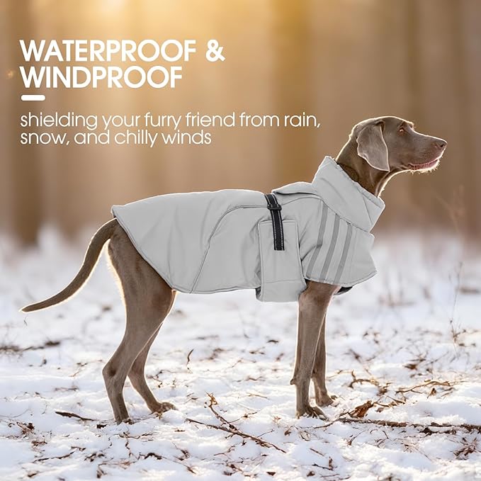 FUAMEY Dog Cold Weather Coats,Dog Winter Jackets for Large Dogs Warm Dogs Coat with Reflective Strips Waterproof Pet Snowsuit Thick Paded Pets Vest for Beagle Corgi Grey L