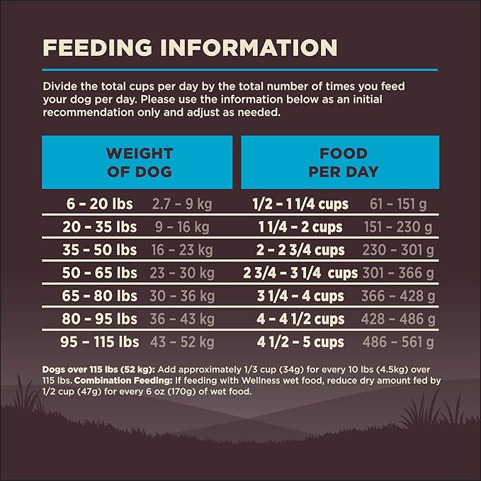 Wellness CORE Dry Dog Food, Wholesome Grains, High Protein, Natural, Ocean Whitefish & Herring Recipe, (22-Pound Bag)