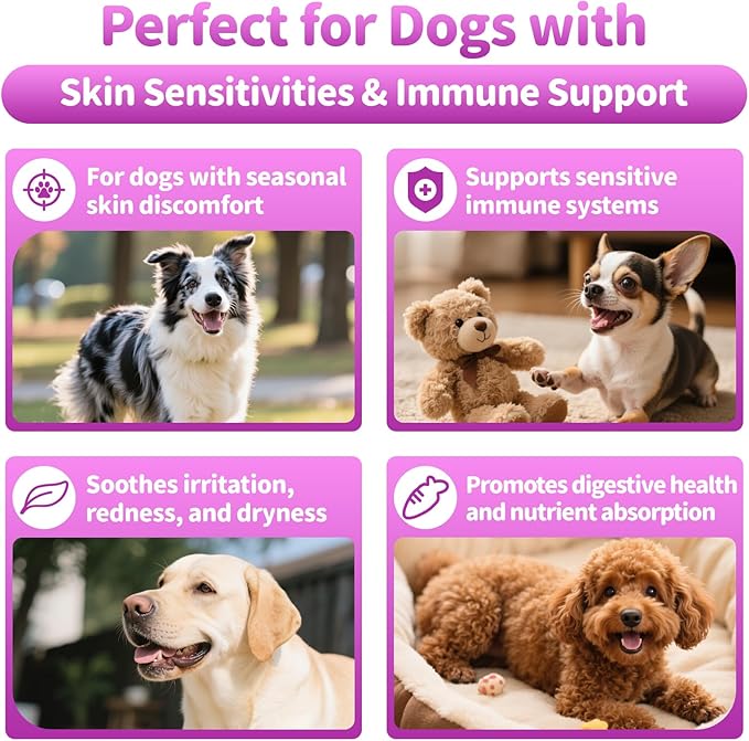 Dog Allergy Relief Chews, Itch Relief for Dogs – Turmeric & Omega-3 Supplements for Skin Comfort, Coat Health & Seasonal Support, Immune Care with Biotin & Quercetin – Chicken Flavor, 90 Count