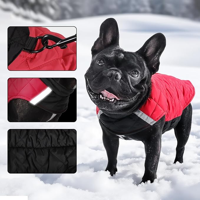 Reversible Waterproof Dog Coat - Adjustable Winter Jacket for Small to Large Breeds, Warm Cold Weather Apparel for Medium Dogs (Army Green & Orange, X-Large (Pack of 1))
