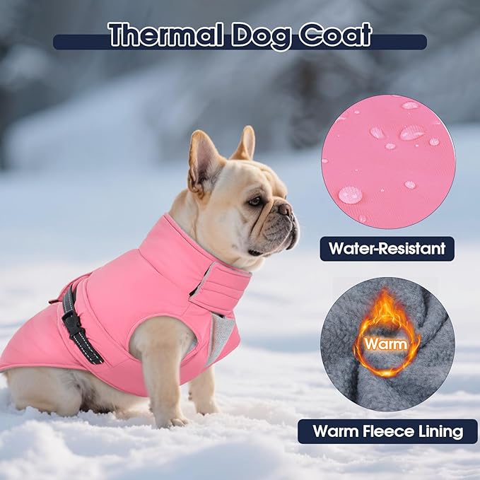 IECOii Dog Winter Jacket - Reflective, Adjustable & Windproof, Thermal Pet Snow Vest for Dachshund, Waterproof Quick Release Buckle, Cold Weather Coat for Indoor Outdoor, Pink, Size M