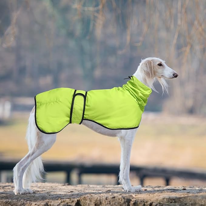 Dog Raincoat with Reflective Bar, Rain/Water Resistant, Adjustable Vest - Dog Raincoats for Greyhounds, Lurchers and Whippets - Light Green - XL