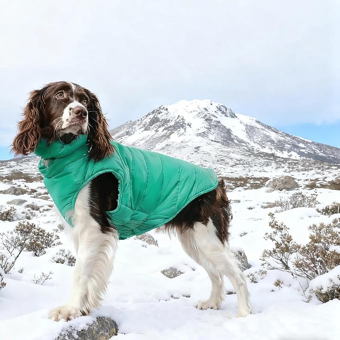 Dog Coats for Large Dogs Winter Waterproof, Zip Up Lightweight Vest for Dogs, Warm Pet Snow Jacket, Outdoor Dog Camping Jackets for Weimaraner, Pointer, Labrador, Green XL