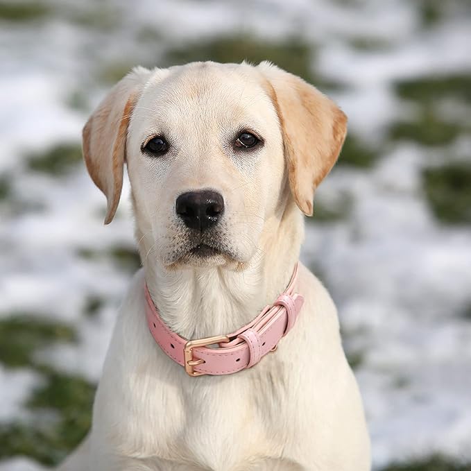 WHIPPY Leather Dog Collar for Small Medium Large Dog Adjustable Soft Breathable Leather Padded Puppy Collar with Alloy Buckle Heavy Duty Waterproof Classic Dog Pet Collar,Pink,S