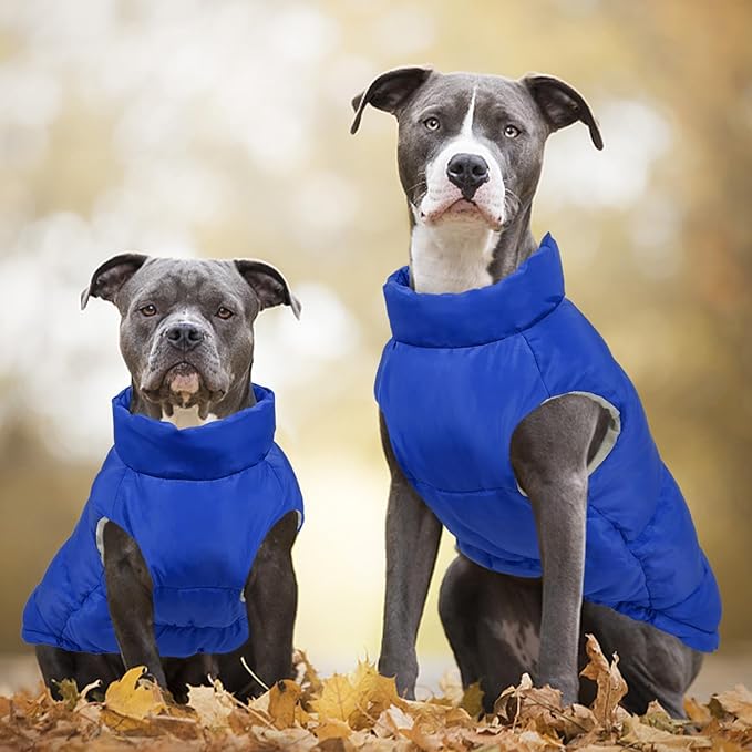 Kuoser Dog Coat Warm Dog Puffer Jacket, Windproof Dogs Padded Vest Lightweight Cold Weather Coats Pet Snowsuit Soft Puppy Winter Clothes for Medium Large Dogs, Button Design, Easy On/Off, Blue L