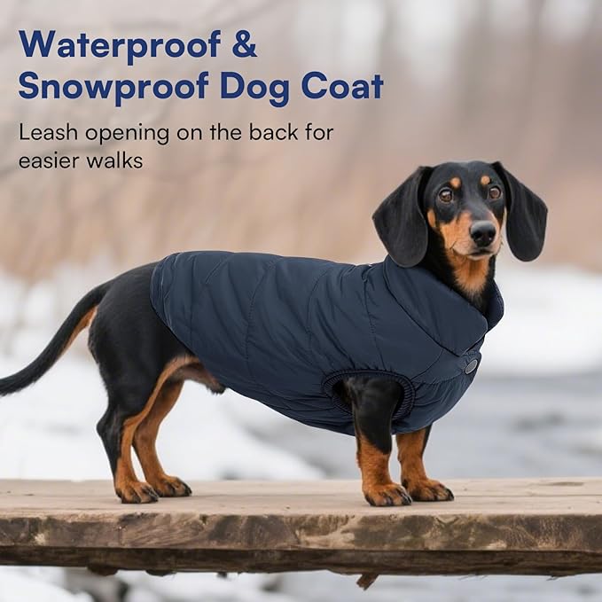 ASENKU Dog Winter Coat - Waterproof Windproof Dog Jacket, Warm Snowproof Doggie Puffer Vest for Cold Weather, Lightweight Snow Coats for Small Medium Large Dogs (S, Blue)