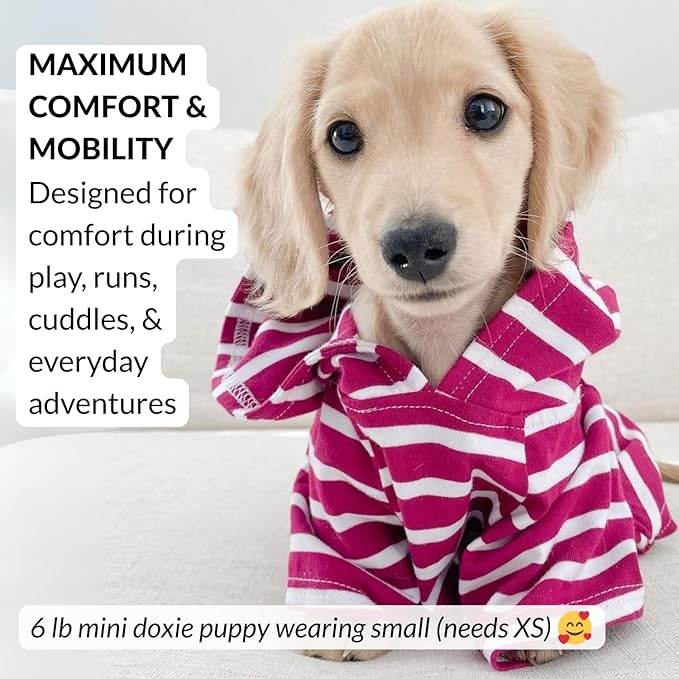 DJANGO Dog Hoodie – Warm, Lightweight, Soft & Stretchy Dog Sweater with Hood, Harness Hole & Elastic Waistband – Cozy Sweatshirt for Small Dogs up to 25 lbs, Dachshunds & Puppies – Boysenberry, Medium