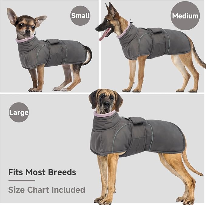 Dog Winter Coat for Small to Large Dogs(XS-XXXL)– Waterproof Windproof Fleece Lined Jacket with Reflective Trim,Pet Vest with Adjustable Buckles, Machine Washable Grey XL