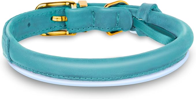 OOPSDOGGY Reflective Rolled Leather Dog Collar Adjustable Soft Padded Pet Collar for Small Medium Large Breed Dogs (Teal, XS, 8"-11")