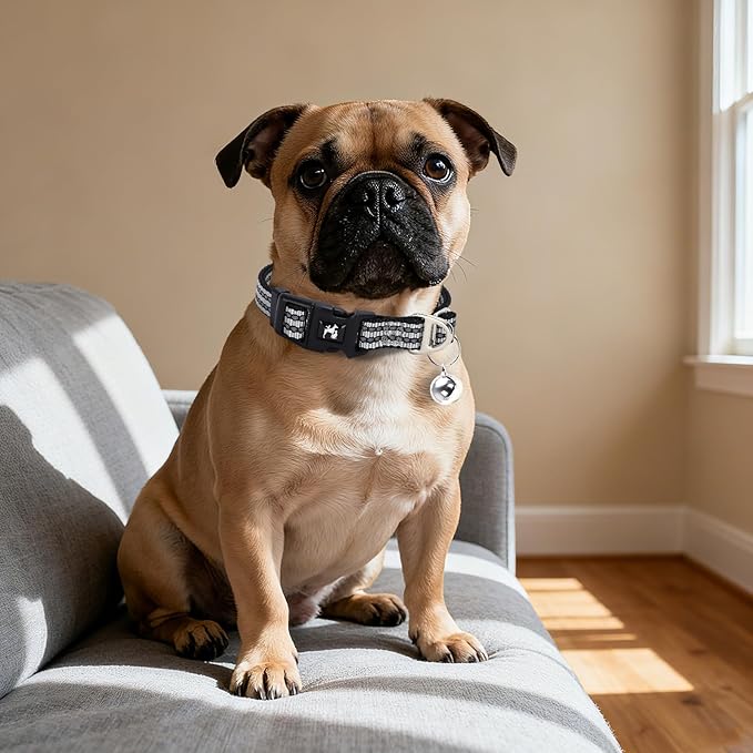 Reflective Dog and Cat Collar with Bell - Hypoallergenic Adjustable Puppy Collar for Small Pets, Soft Nylon Night Safety with Reflective Strips (Silver, XS)