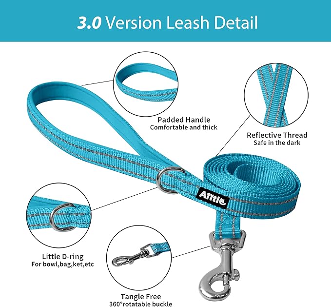 AIITLE Comfortable Dog Harness and Leash Set for Walking - Summer Step in Vest Harness,Reflective Bands, Adjustable No Pull Puppy Essentials, for Small Dogs and House Cats Hot Pink XS