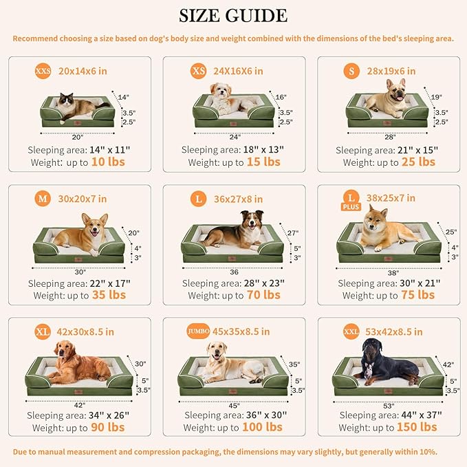 Comfort Expression Orthopedic Dog Bed for Large Dogs 36x27 Inch, Waterproof Supportive Egg Crate Foam Large Pet Bed with Removable Bolster, Dog Couch with Washable Cover & Non-Slip Bottom, Light Green