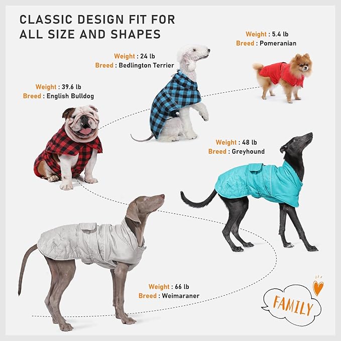 PAWZ Road Dog Winter Coat with 5 Layers Warm Material, Reversible Dog Clothes with 2 Sides, Dog Jacket Outdoor Water Repellent, (Blue Plaid M)