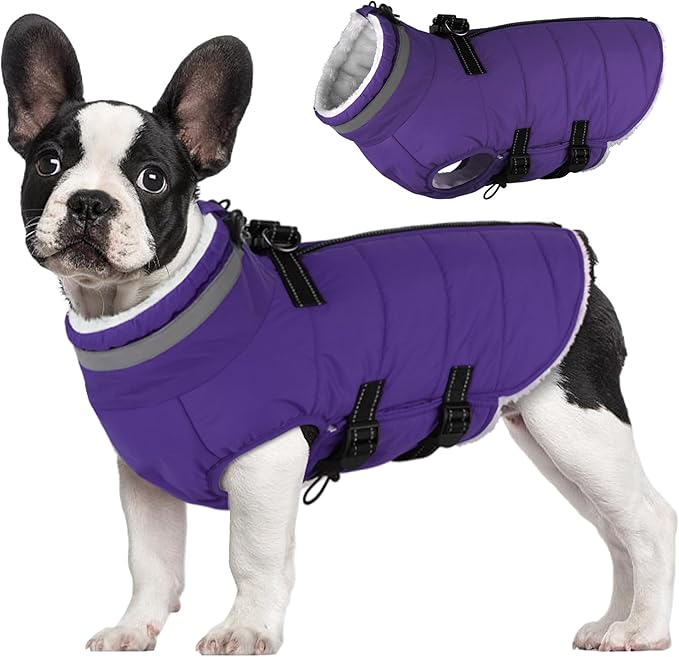 Small Dog Coat with Harness Built-in, Waterproof Reflective Fleece Lined - Warm Windproof Winter Jacket with Back Zipper, Cold Weather Snow Dog Coats - Purple - XS