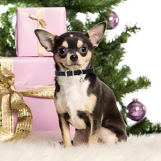 Gold XS Dog Collar with Bell, Soft Pu Leather Cat Collars Adjustable Buckle for XXS Extra Small Medium Tiny Female Male Boys Girls Pets Puppy Kitten Teacup Yorkie X-Small