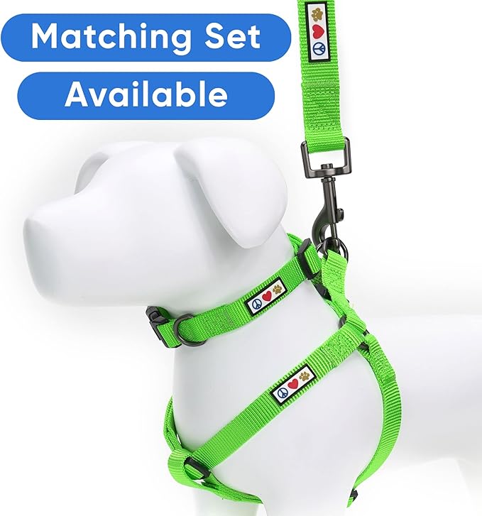 Pawtitas Personalized Dog Leash - Embroidered Custom Leash with Pet Name & Phone Number, 6 ft Long, Medium & Large Sizes, Lush Green Custom Engraved Name