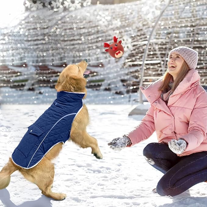 Malier Dog Winter Coat, Windproof Dog Cold Weather Coats with Real Pocket, Winter Extra Warm Pet Coat Fleece Jacket Reflective Clothes for Small Medium Large Dogs and Puppy (Blue, X-Large)