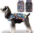 CuteBone Winter Dog Jacket, Reversible Dog Vest - Windproof & Waterproof, Thick Adjustable, Small to Large Sizes, Soft Winter Coat with Leash Hole