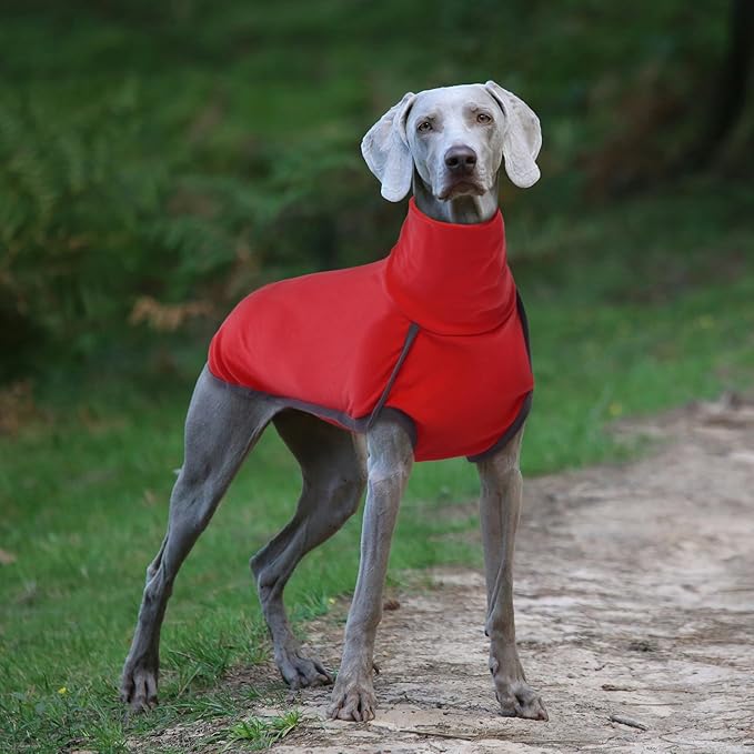 ROZKITCH Dog Winter Coat Soft Pullover Pajamas, Pet Windproof Warm Cold Weather Jacket Vest Cozy Jumpsuit Apparel Outfit Clothes for Xmas Walking Sleep BrightRed XL