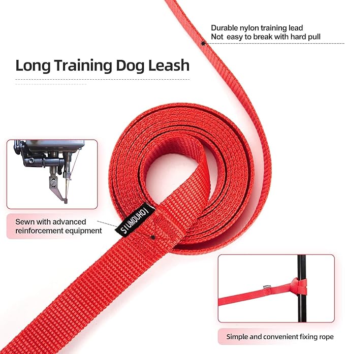 Dog/Puppy Obedience Recall Training Agility Lead - 15ft 20ft 30ft 40ft 50ft Training Leash - Great for Play, Camping, or Backyard - Pink 30ft