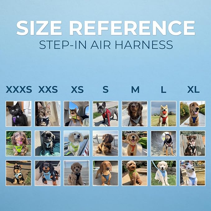 Best Pet Supplies Voyager Step-in Air Harness - All Weather Mesh, Reflective, No Pull Harness for Dogs, Cats - Secure with Hook & Loop Fastener, Buckle, Double D-Rings - Tone, L