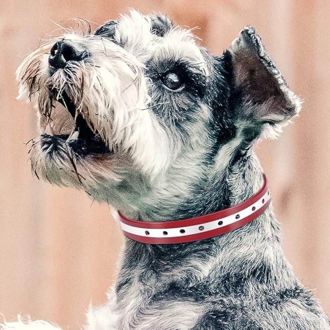 PetJoy Dog Collars Strap, Replacement Collar for Shock Reflective Collar, Adjustable Classic Dog Collar Strap for All Varieties Small Medium Large Dogs (Black & Red)