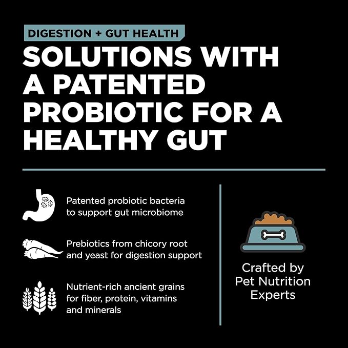 Go! Solutions Digestion + Gut Health, Dry Dog Food, Chicken Recipe with Ancient Grains, 3.5 lb Bag