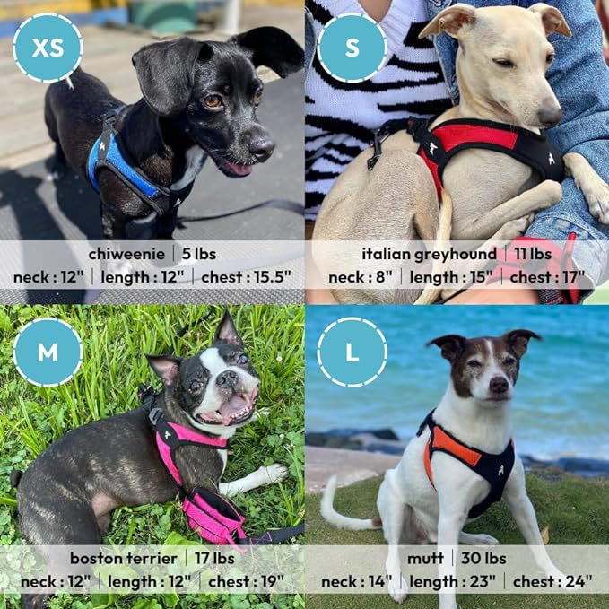 Gooby Escape Free Easy Fit Harness - Orange, Medium - No Pull Step-in Patented Small Dog Harness with Quick Release Buckle - Perfect On The Go No Pull Harness for Small Dogs or Medium Dog Harness