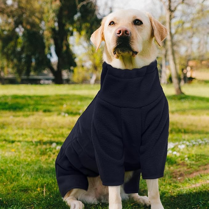 ROZKITCH Dog Winter Clothes, Pet Windproof Warm Cold Weather Jacket Vest Cozy Jumpsuit Apparel Outfit Clothes for Small Medium Dog Walking Hiking Sleep Blue S