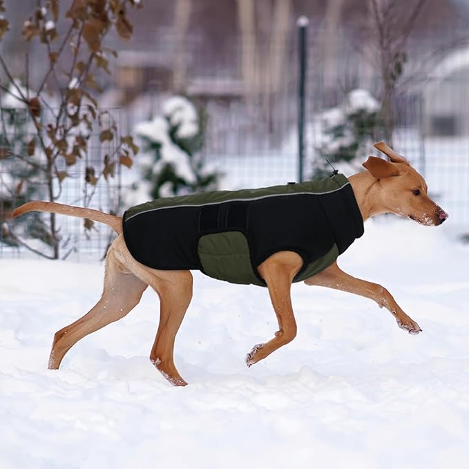 Kuoser Dog Jacket, Winter Dog Coats for Medium Dogs, Reflective Doggie Cold Weather Coats Pet Clothes, Puppy Snow Jacket for Frech Bulldog, Boston Terrier, Green L