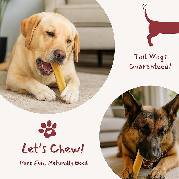 Majestic Pet Himalayan All-Natural Yak Cheese Dog Chews Made with 100% Cows Milk- Long Lasting Dental Chew for Dogs - Healthy Pet Treats with Beneficial Ingredients (Variety Pack, Large, 5 Pack)