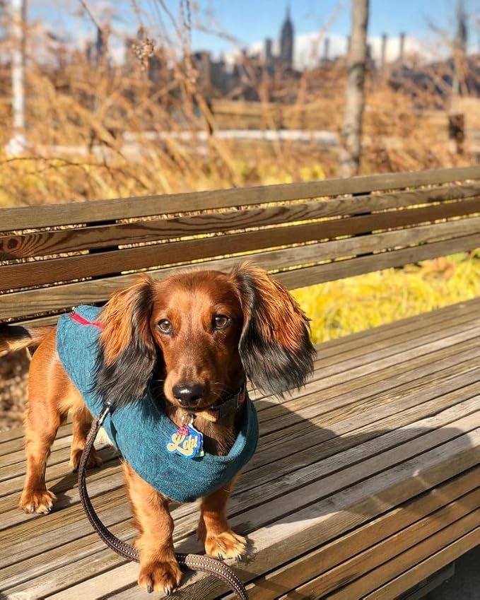 Gooby Zip Up Fleece Dog Sweater - Gray Wash, Small - Warm Pullover Fleece Step-in Dog Jacket with Dual D Ring Leash - Winter Small Dog Sweater - Dog Clothes for Small Dogs Boy and Medium Dogs