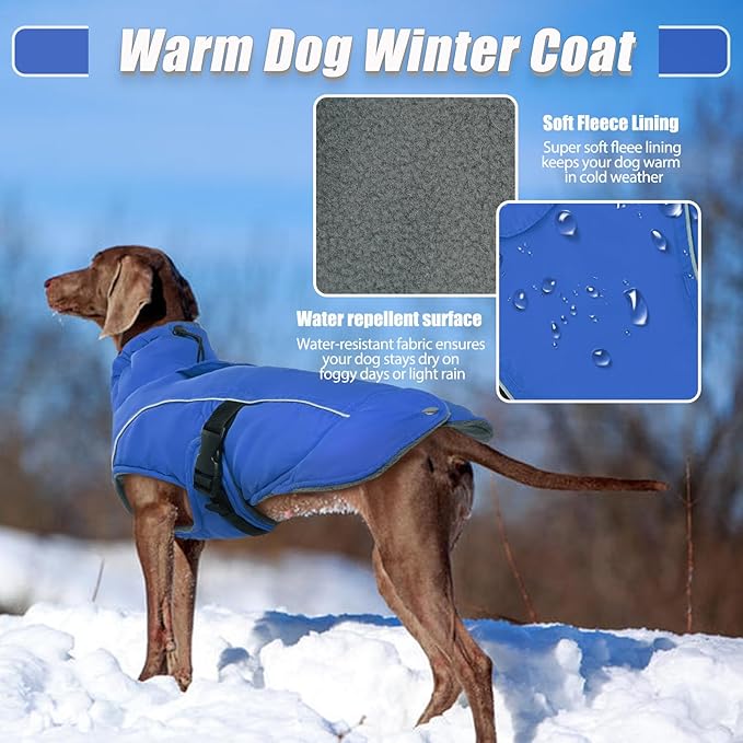 DENTRUN Dog Winter Coat - Windproof Reflective Jacket, Plush Turtleneck & Adjustable Belt, Water Repellent Fleece Lined Cold Weather Vest for Corgi Bulldog, Blue, L