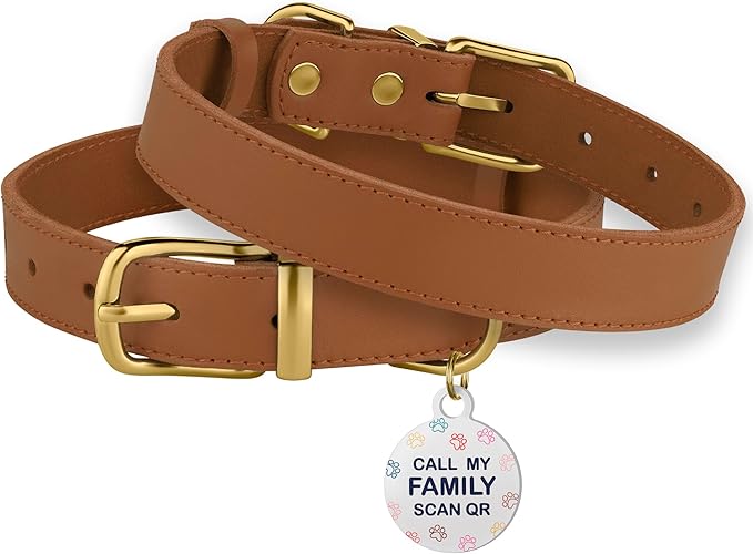 BRONZEDOG Leather Dog Collar with Metal Buckle Durable Basic Pet Collars for Small Medium Large Dogs (11-13 Inch (Pack of 1), Light Brown & Gold Buckle)