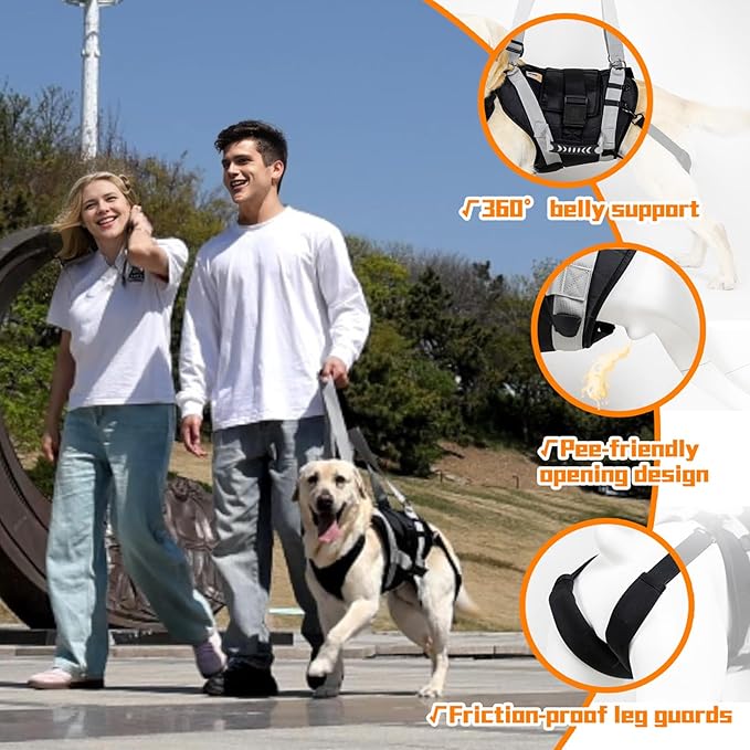 Dog Lift Harness for Large Dogs,Full Body Dog Sling Carrier with Handle,for Up Stair/Back Legs Support/Dogs Joint Injuries/Arthritis (XX-Large)