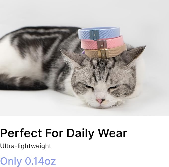 Safety Cat Collar - U.S. IDA Gold Awarding Design, Stretch Elastic Quick Release, Non Breakaway - Light Weight for Kitten, Neck Fit 7.8'-15.7' for All Small Large Cat,M(Glacier Silver)