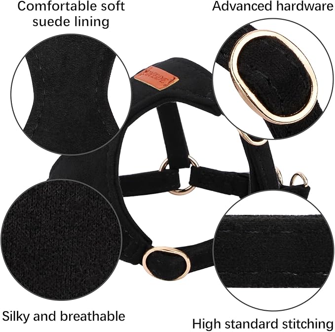 No Pull Dog Harness- Lightweight, Soft, Adjustable Small Harness Collar and Leash Set, Suitable for Cats Puppy Small and Medium-Sized Dog Outdoor Training and Running (Black, XXS)